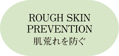 肌荒れを防ぐ ROUGH SKINPREVENTION